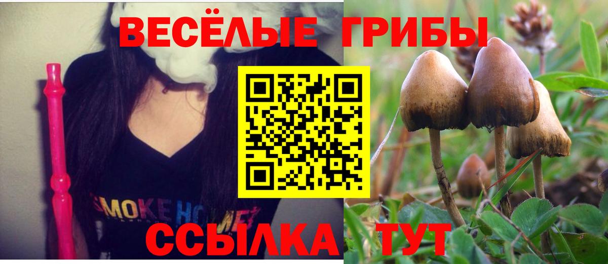 Кострома  Псилоцибиновые грибы GOLDEN TEACHER  Вход с VPN 