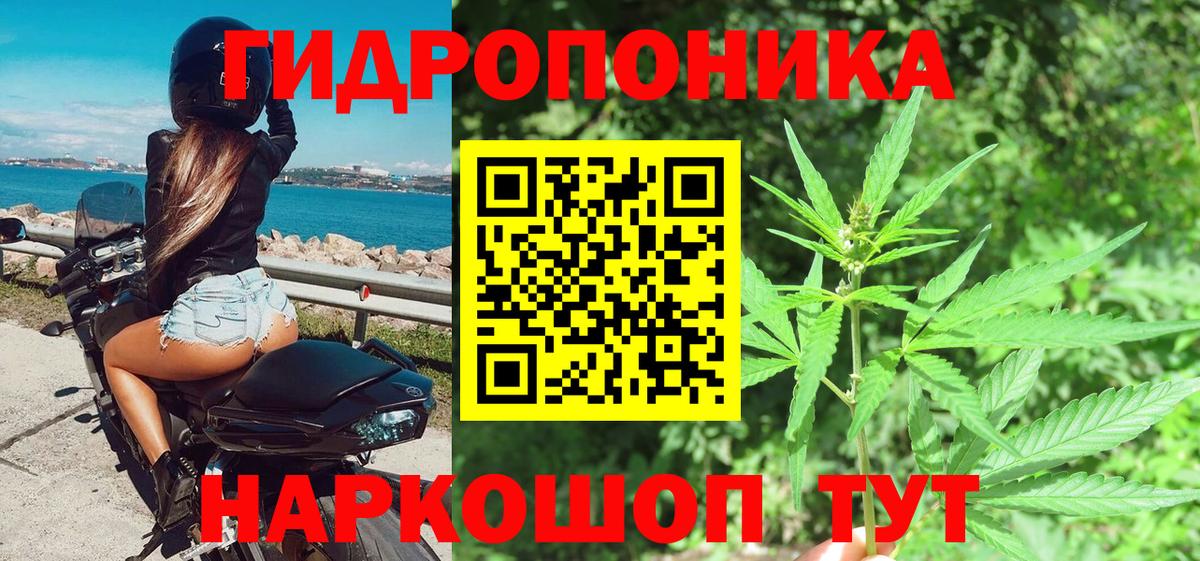 Шишки марихуана семена Кострома